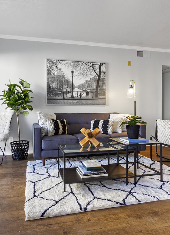 SF Apartment Living Room 1